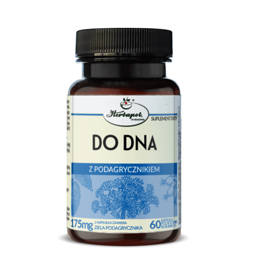 Do Dna z podagrycznikiem 60 kapsułek