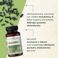 cholesterol+ korzyści