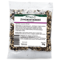 Żywokost - korzeń 50g
