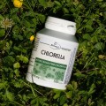 chlorella.jpg