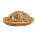 lipa-kwiat.png